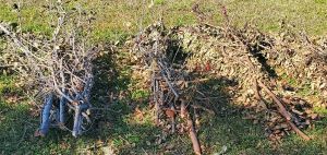 Compliant Horticulture Waste 1